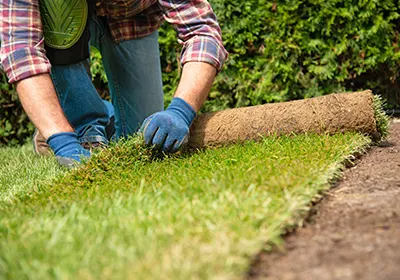 Recouvrir son jardin de verdure