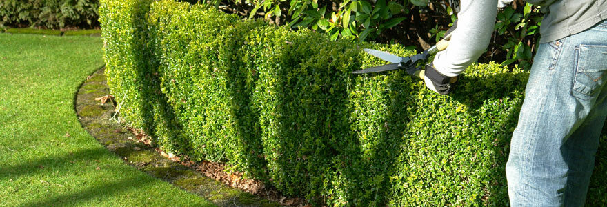 entretien des jardins