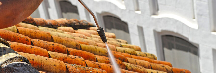 comment-fonctionne-un-pulverisateur-electrique-pour-l-entretien-de-la-toiture-et-comment-l-utiliser